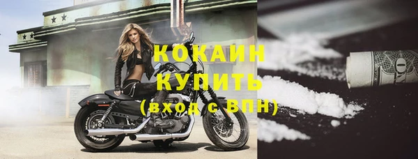 молекула духа Протвино