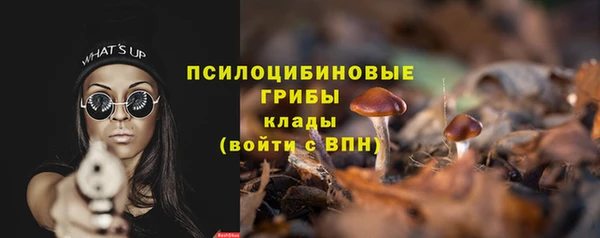 молекула духа Приозерск