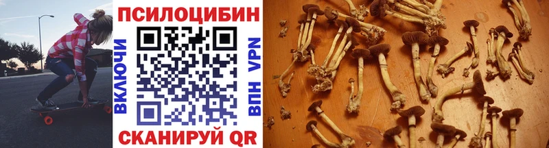 Псилоцибиновые грибы GOLDEN TEACHER Сретенск